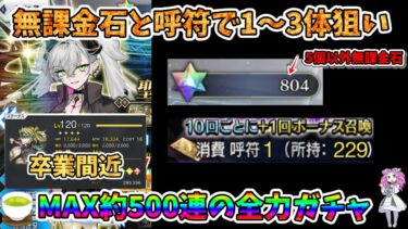 【FGO】福袋等課金のみの微課金勢の性能厨がリリス(アイリーン)を1~3体引くまで最大で約500連までガチャを回し続ける‼【四国メタン】【ずんだもんボイス】#解説 #fgo #ガチャ