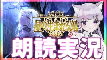 【FGO 2部6章】舐めプマスターが「アヴァロンルフェ」を初見攻略 22節より【Vtuber / 彩木のい】15#後半