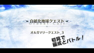 【だらだらFGO実況？】オルガマリークエスト_3（初見）【オーディール・コール】