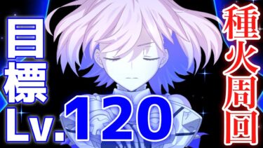 【FGO】マシュを限界まで強化する！雑談しながら種火周回でレベル上げ配信 第1夜【Fate/Grand Order】