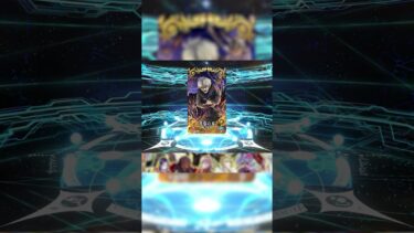 【FGO】黒聖杯持ってますか？【冠位戴冠戦:Berserker】【Fate/Grand Order】